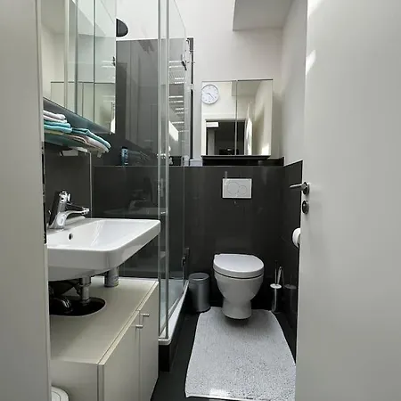 6 Maisonette-penthouse Pool Dachterrasse Luxus Mnichov